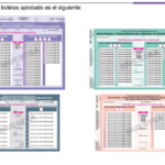 Aprueba INE diseño de boletas con las que se elegirán diversos cargos del PEEPJF 2024-2025