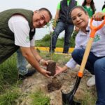 DIPUTADOS DEL VERDE PLANTAN MÁS DE 5 MIL ÁRBOLES EN 17 MUNICIPIOS SOLO EN EL MES DE JUNIO