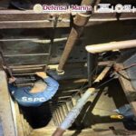 Desmantelan un túnel clandestino