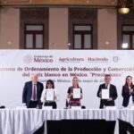 Presidenta firma acuerdo para la creación del Sistema de Ordenamiento de la Producción y Comercialización del maíz blanco “Precio Justo”