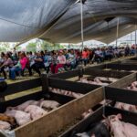 Fortalecen la autosuficiencia alimentaria con la tercera entrega del programa Paquetes Ganaderos 2026